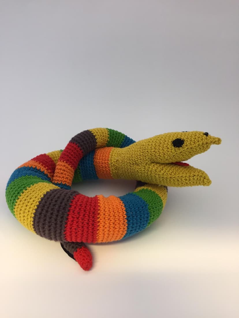 Big Snake Crochet